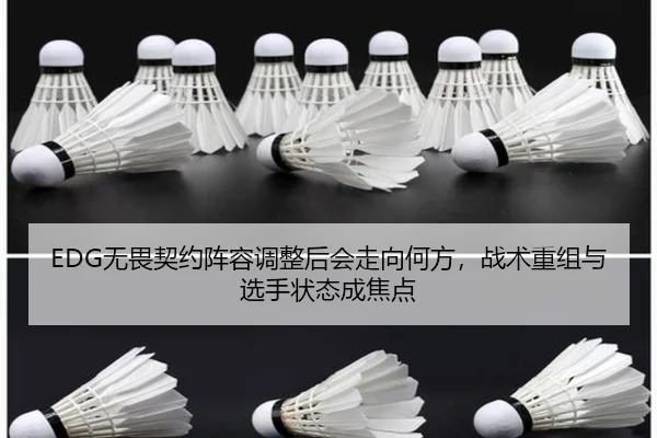 EDG无畏契约阵容调整后会走向何方，战术重组与选手状态成焦点（youbotiyu）